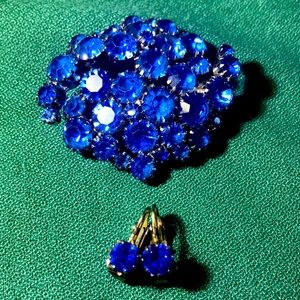 💎VINTAGE BROACH & EARNINGS